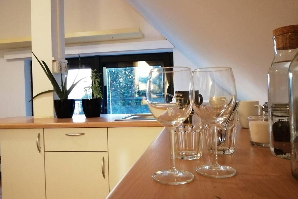 Apartment Koci Dom *